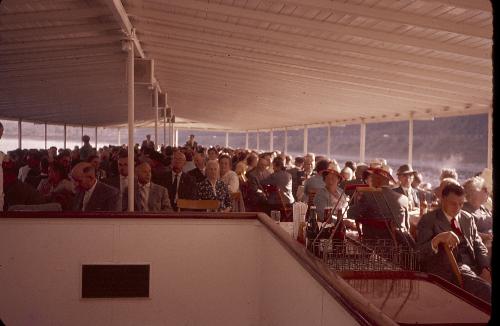 Historisches Okapi Archivbild